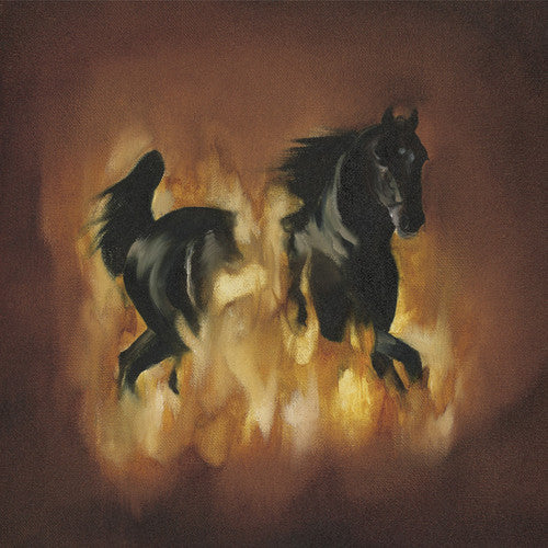 Besnard Lakes: The Besnard Lakes Are The Dark Horse