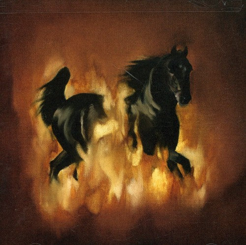 Besnard Lakes: The Besnard Lakes Are The Dark Horse