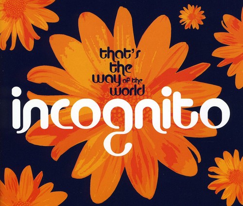 Incognito: Thats the Way of the World - CD SINGLE