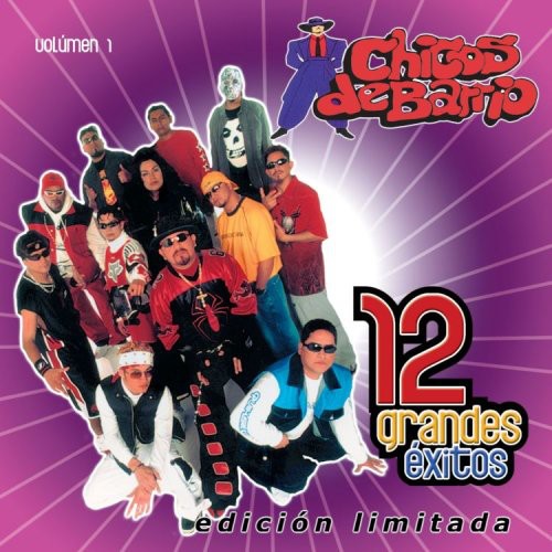 Chicos de Barrio: Vol. 1-12 Grandes Exitos