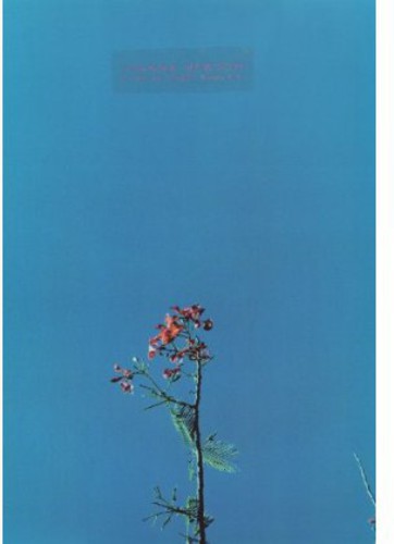 Newsom, Joanna: The Ys Street Band EP