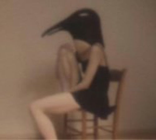 Penguin Cafe Orchestra: Penguin Cafe Orchestra