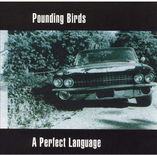 Pounding Birds: Perfect Language