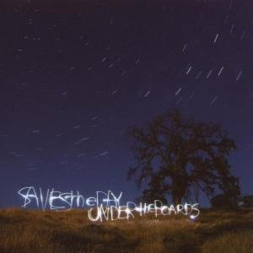 Saves the Day: Under the Boards