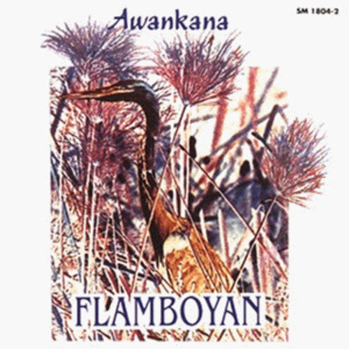 Flamboyan: Flamboyan-River of the Stars