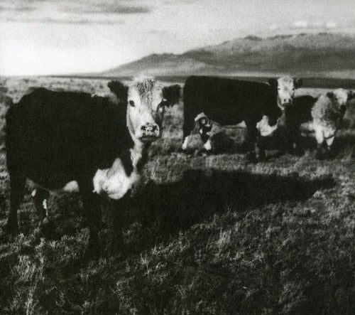 Kozelek, Mark: Finally