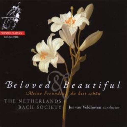 Netherlands Bach Society / Veldhoven: Beloved & Beautiful - SUPER-AUDIO CD