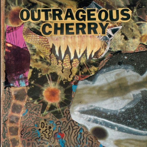 Outrageous Cherry: Universal Malcontents - COMPACT DISCS