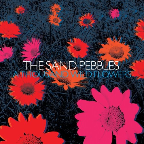 Sand Pebbles: A Thousand Wild Flowers