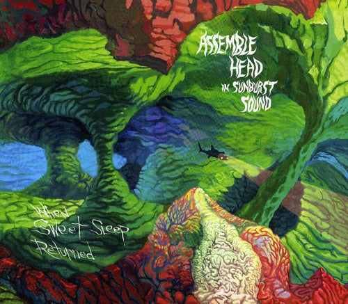 Assemble Head in Sunburst Sound: When Sweet Sleep Returned - COMPACT DISCS