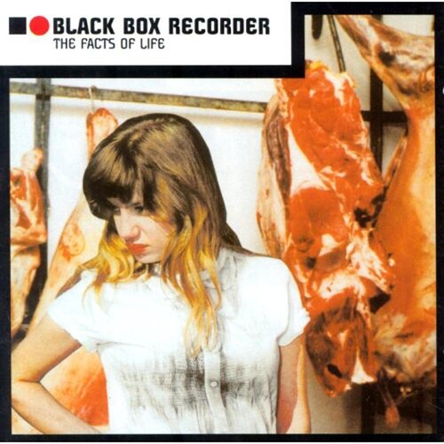 Black Box Recorder: Facts of Life