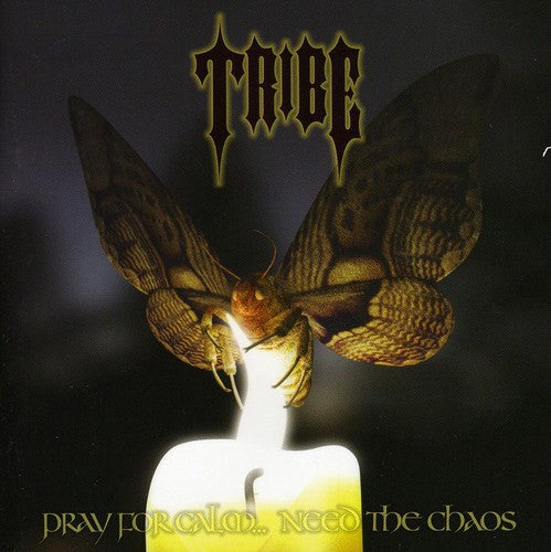 Tribe: Pray For Calm Need The Chaos