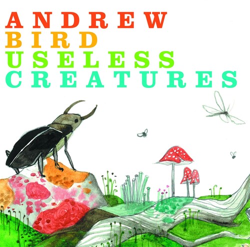 Bird, Andrew: Useless