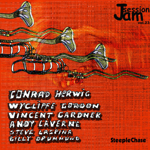 Various Artists: Jam Session, Vol. 23 - COMPACT DISCS