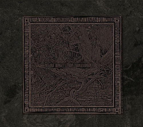 Negura Bunget: From Transilvanian Forest
