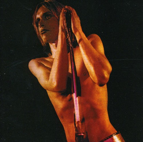 Iggy & Stooges: Raw Power (Remix)