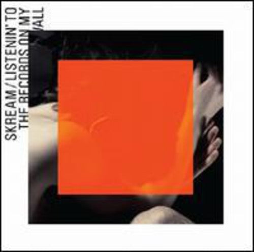 Skream: Listenin to the Records on My Wall