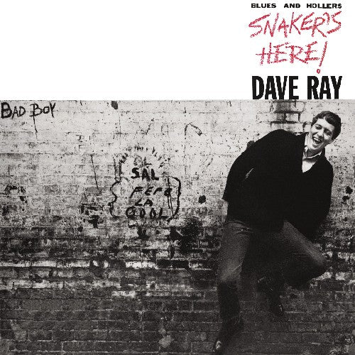 Ray, Dave: Snaker's Here
