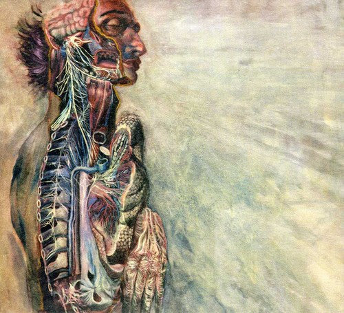Fear & Nervous System: Fear & Nervous System - COMPACT DISCS