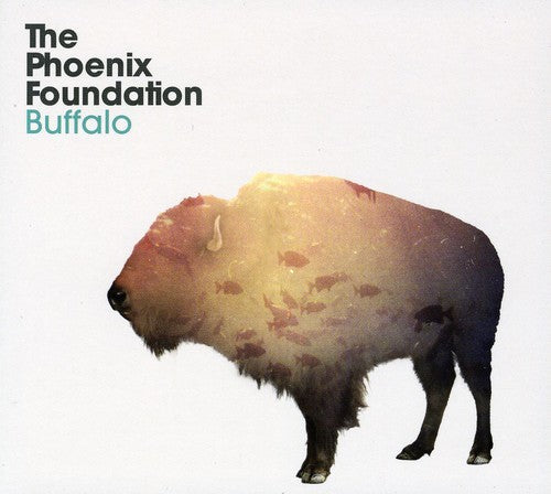 The Phoenix Foundation: Buffalo - COMPACT DISCS