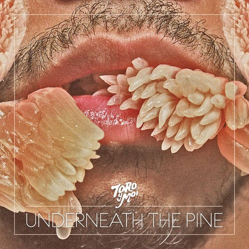 Toro y Moi: Underneath the Pine