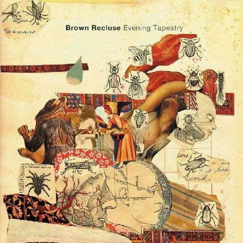 Brown Recluse: Evening Tapestry