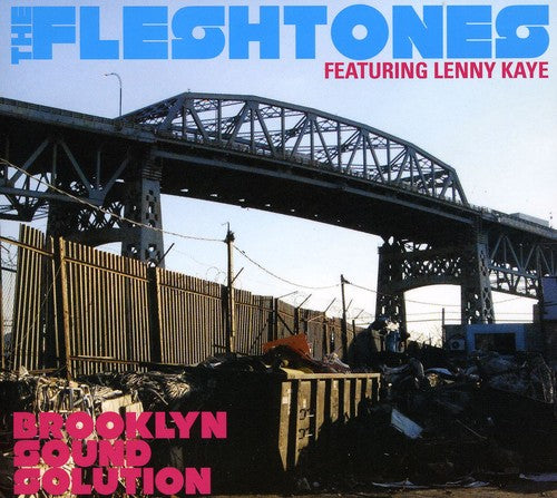 The Fleshtones: Brooklyn Sound Solution - COMPACT DISCS