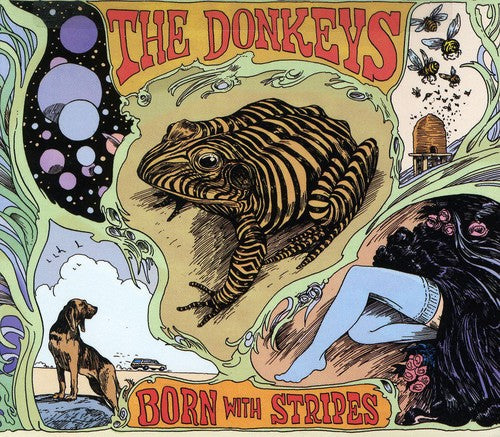 Donkeys: Born with Stripes
