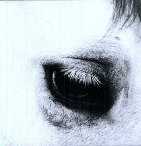 Creepoid: Horse Heaven