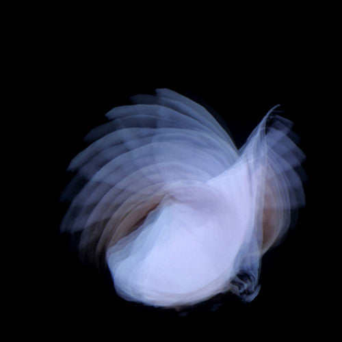 Kira Kira: Feathermagnetik