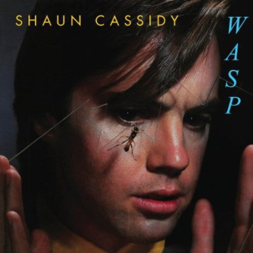 Cassidy, Shaun: Wasp