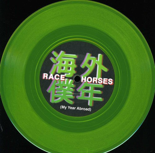 Race Horses: My Year Abroad