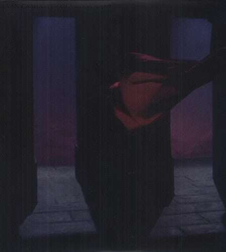 Caminiti, Evan: Dreamless Sleep