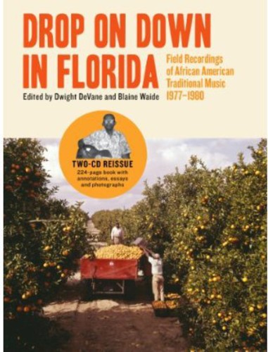Drop on Down in Florida / Various: Drop On Down In Florida