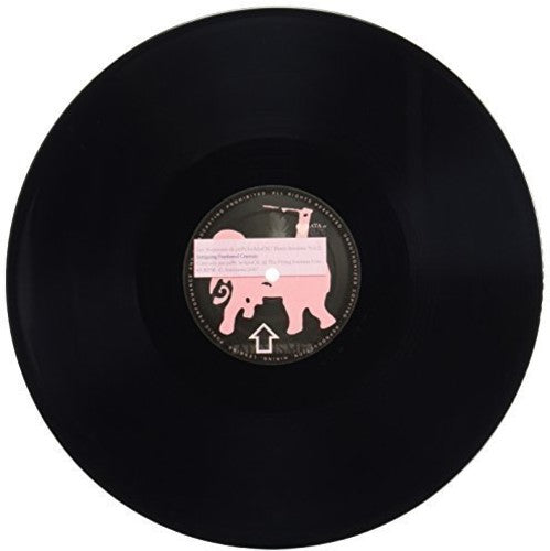 Bradock, Pepe: Intriguing Feathered Creature