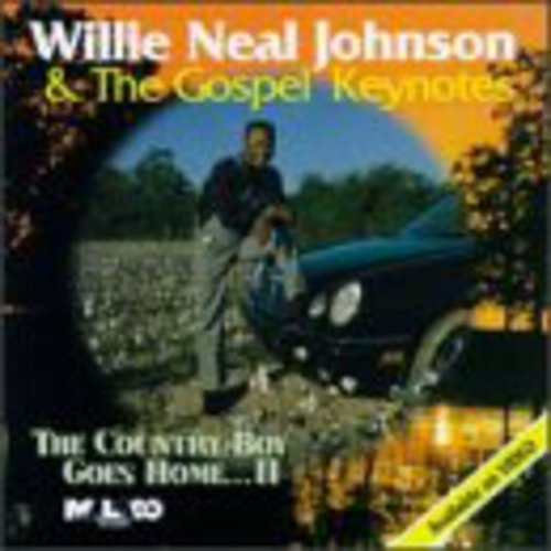 Johnson, Willie Neal: Country Boy Goes Home 2