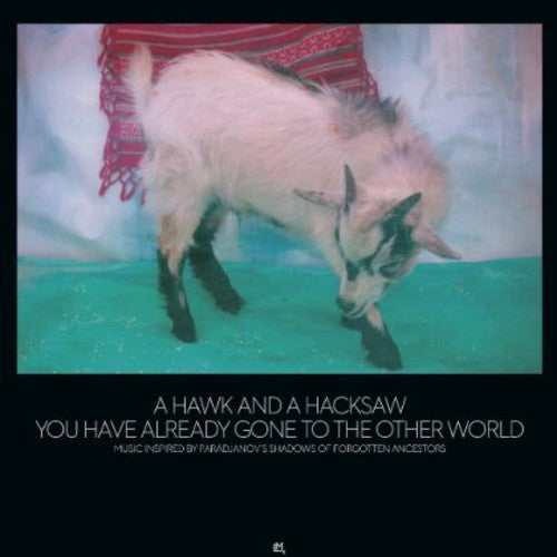 Hawk and a Hacksaw: You Have Already Gone to the Other World