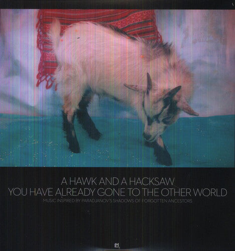 Hawk & a Hacksaw: You Have Already Gone to the Other World