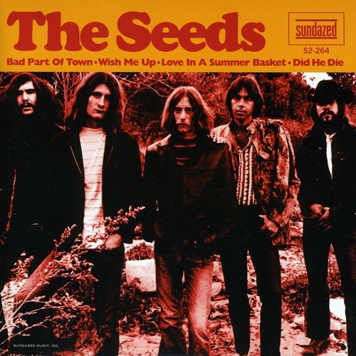 Seeds: Bad Part Of Town