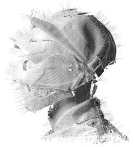 Woodkid: The Golden Age