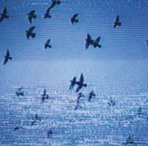 Field Harmonics: Walls