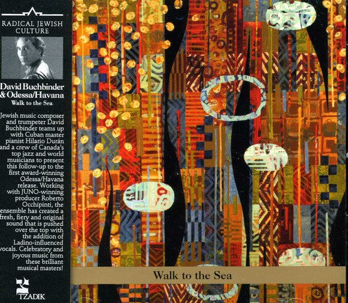 David Buchbinder: Walk to the Sea - COMPACT DISCS
