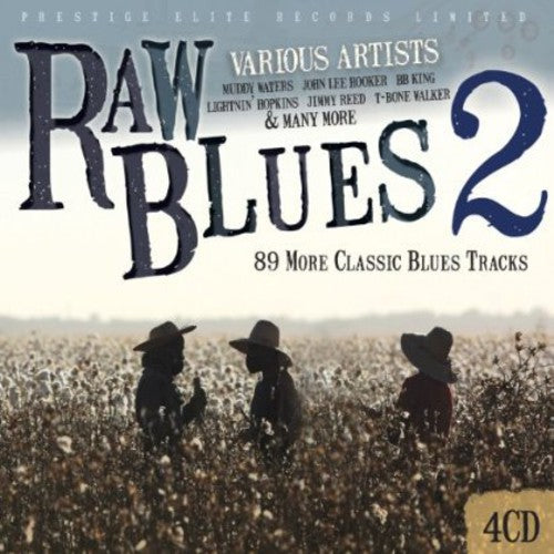 Various Artists: Raw Blues 2 - COMPACT DISCS