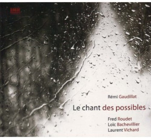 Gaudillat, Remi: Le Chant Des Possibles