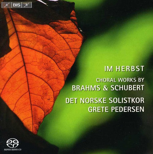 Brahms / Andsnes / Det Norske Solistkor / Pedersen: Nine Songs from Zigeunerlieder - SUPER-AUDIO CD