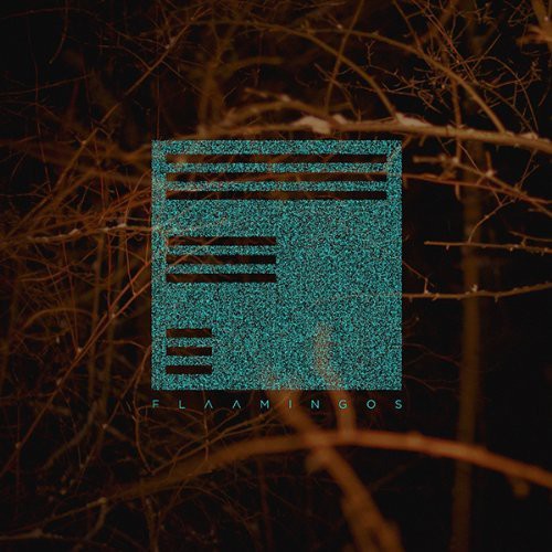 Flaamingos: Flaamingos