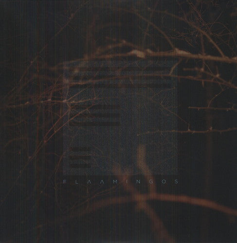 Flaamingos: Flaamingos