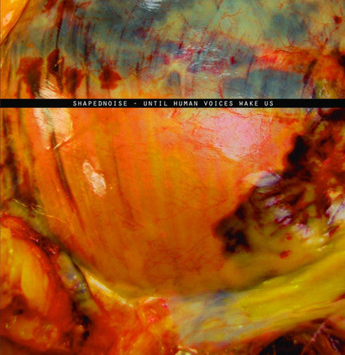 Shapednoise: Until Human Voices Wake Us