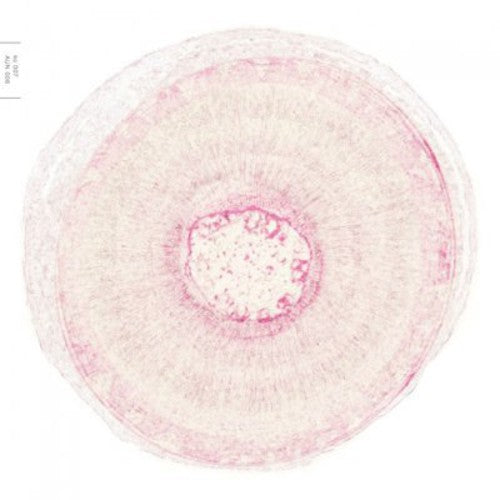 Free Babyronia: Matrix Grooves