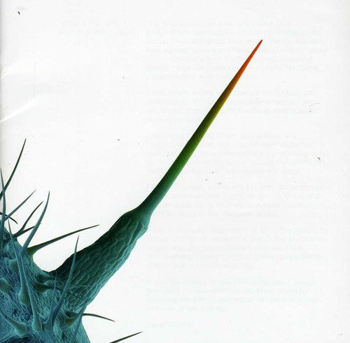 Gabriel, Peter: And I'll Scratch Yours